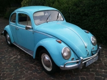 1962 Beetle the day I went to see her!  (Love at first sight! LOL)