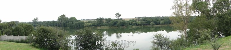 DSC05066