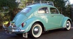 Turquoise Bug