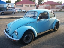 75 beetle