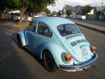 75 beetle