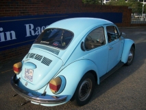 75 beetle