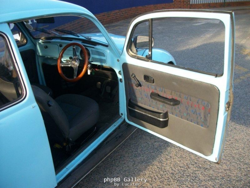 75 beetle