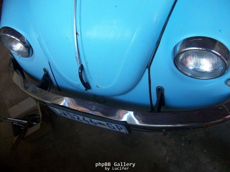 75 beetle