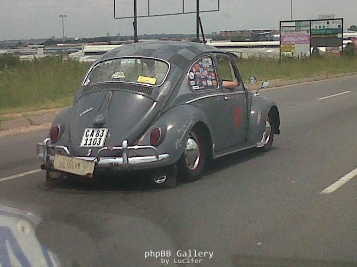 Spotted