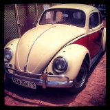 59bug