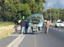 Beetle on trolley