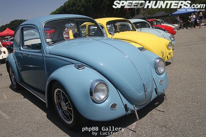 cal6