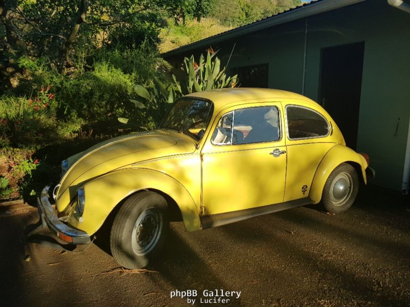 78 VW Beetle Before (9)